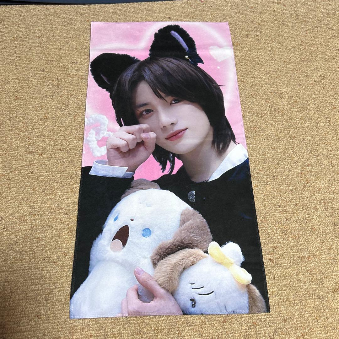 txt ボムギュ スローガン 猫 - メルカリ