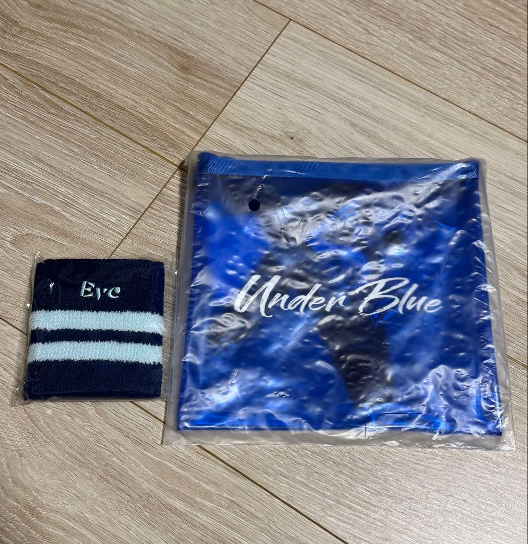 Eve Under Blue 2025 くじセット - メルカリ