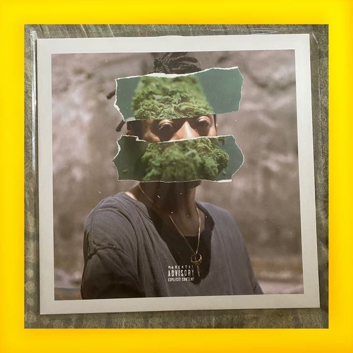 LP・レコード】RUDEBWOY FACE - JAM DOWN