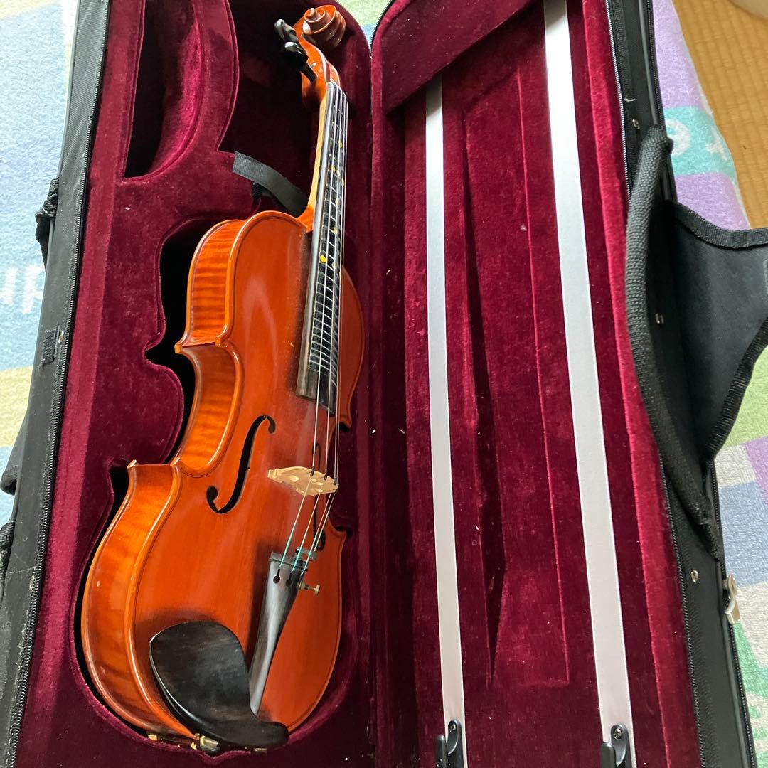 カルロジョルダーノ VS-3 フレット バイオリン4/4 虎目一枚板 一式
