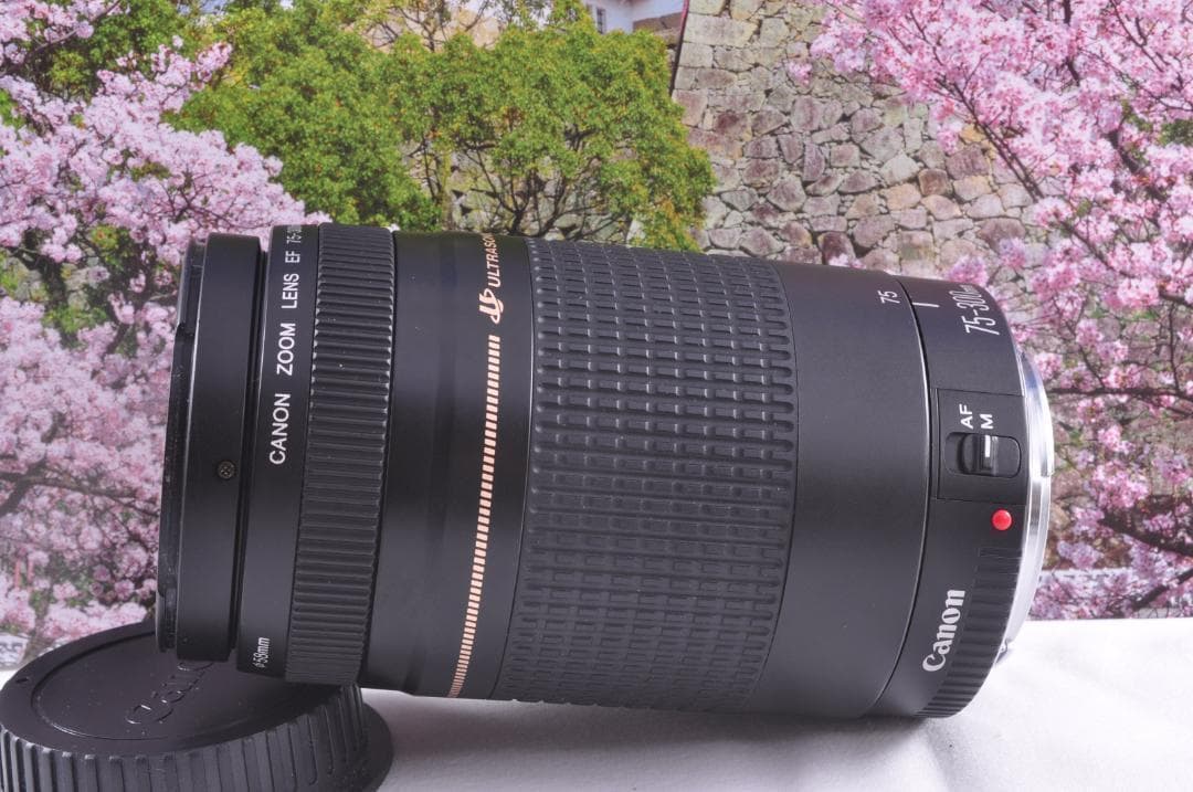望遠はここから！ Canon キヤノン 望遠レンズ EF75-300mm #9