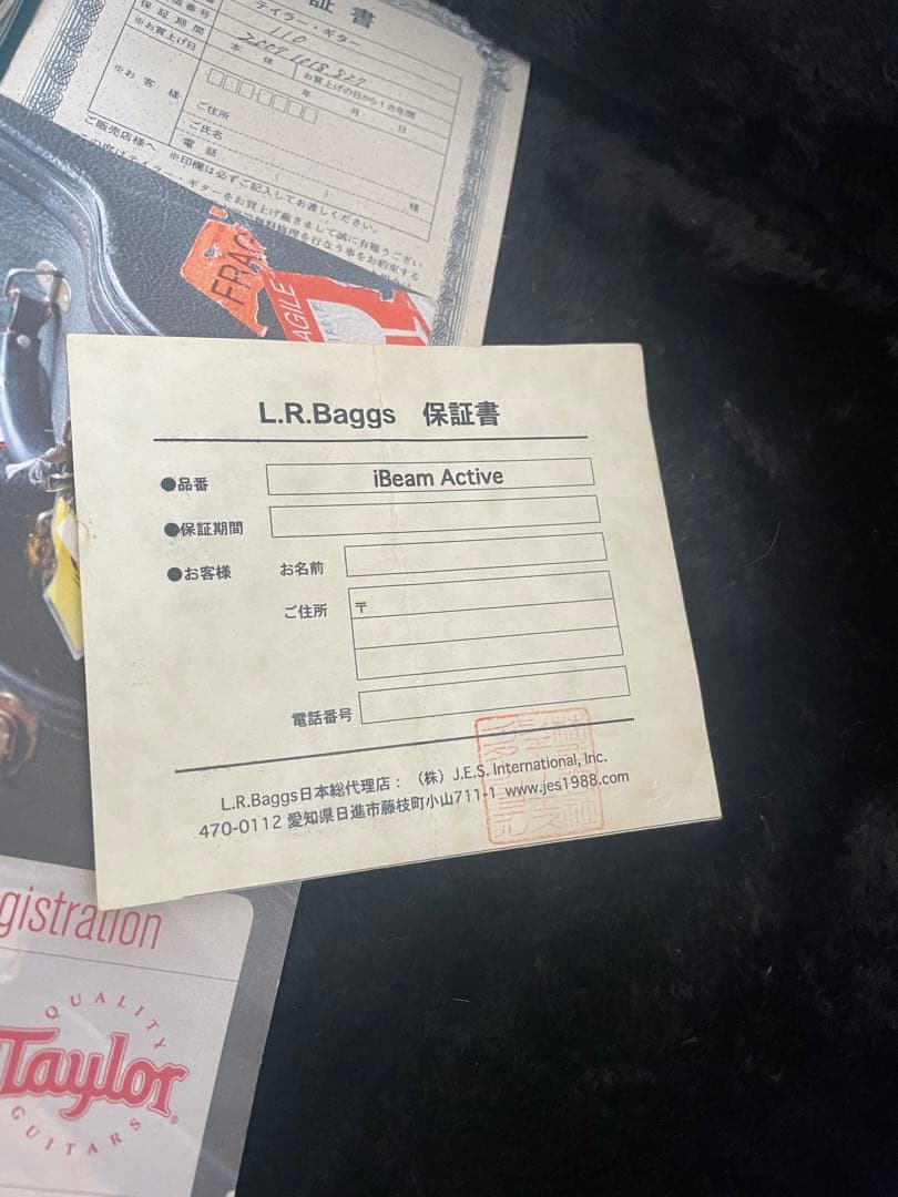 早いもの勝ちです テイラー110 高感度マイク内蔵 エレアコ 新ハード