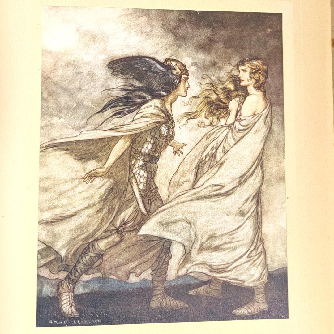 初版 アーサー・ラッカム挿画紋本 カラーイラスト全揃いジークフリート