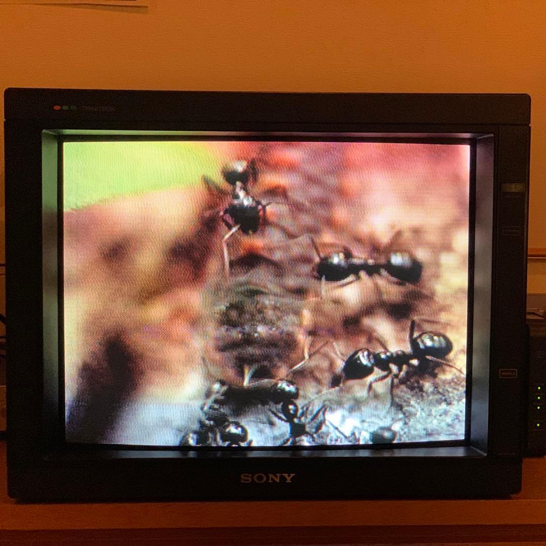 SONYトリニトロンモニター プロフィールプロ KX-21HV1S - メルカリ