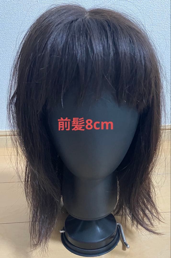 ウイッグ フェンウィック(fenwick) ワールドクラスビスタ(World Class Vista