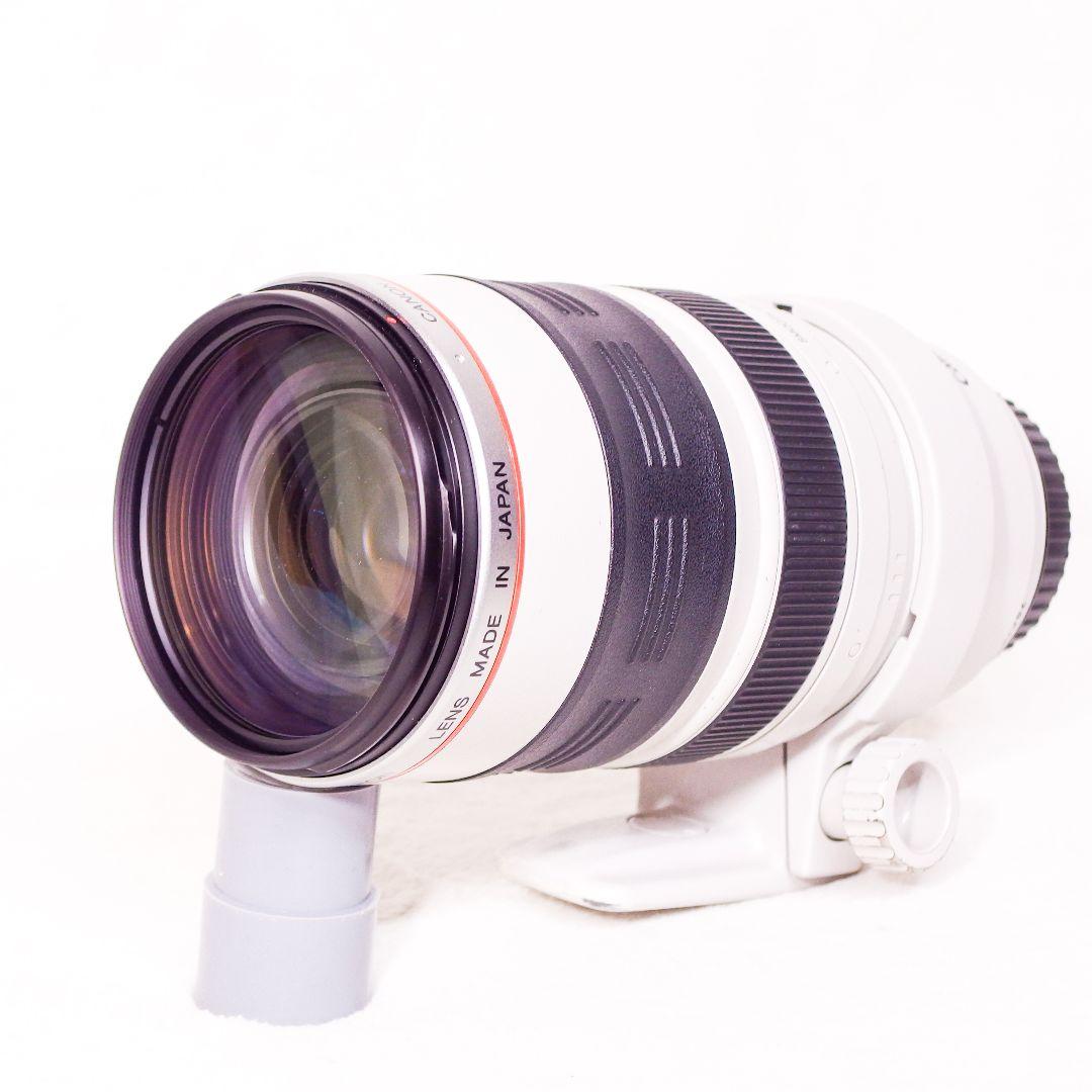 実用 美品 Canon EF 35-350mm F3.5-5.6 L USM