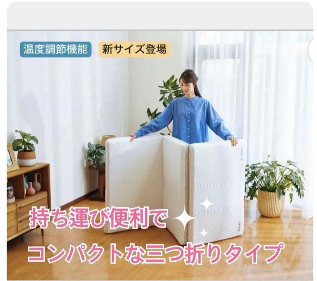 ✨快適快眠✨コアラフトン OASIS シングル 布団 三つ折り コアラ(R