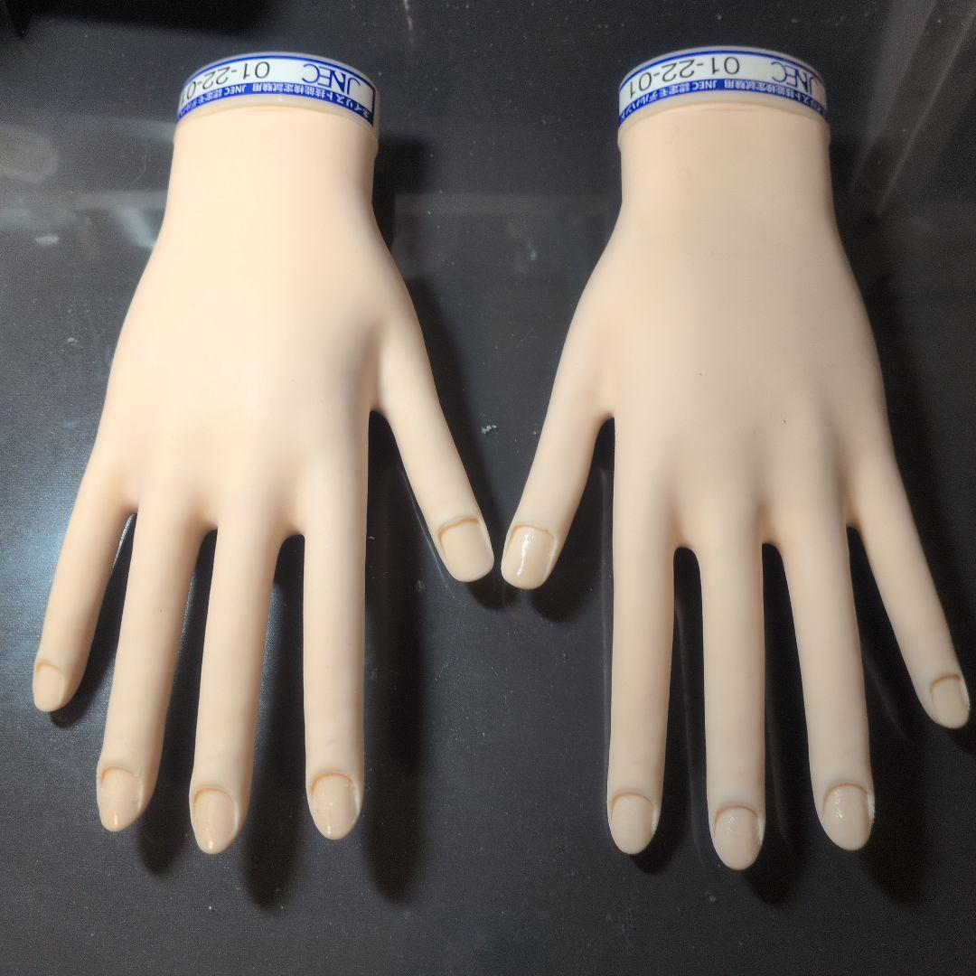 認定モデルハンド(骨折なし) STモデルハンド /両手セット（JNEC 第1期認定モデルハンド