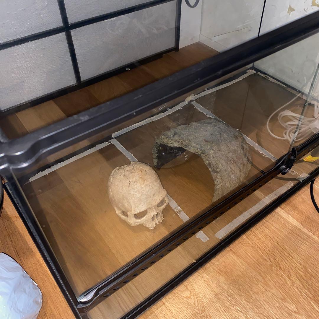 中型透明ガラス飼育ケース 水槽・ケージ(ゲージ)の商品一覧 | かめんちゅカート