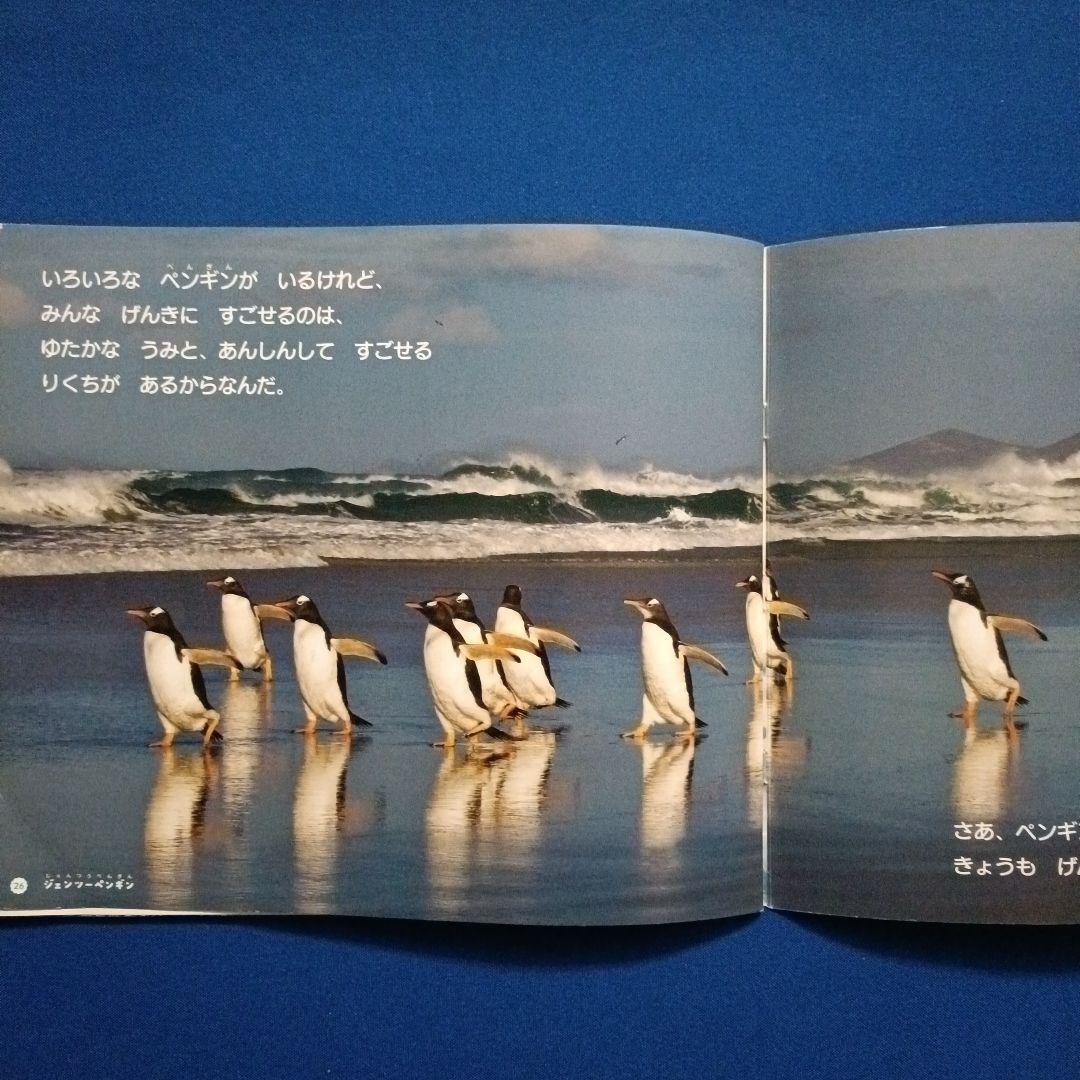 ビッグサイエンス キンダーブックしぜん こどものくに ペンギンさんの