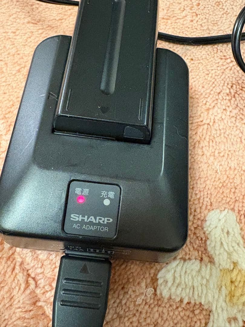 SHARP シャープ VL-FD1 液晶デジタルビューカム ビデオ バッグ有