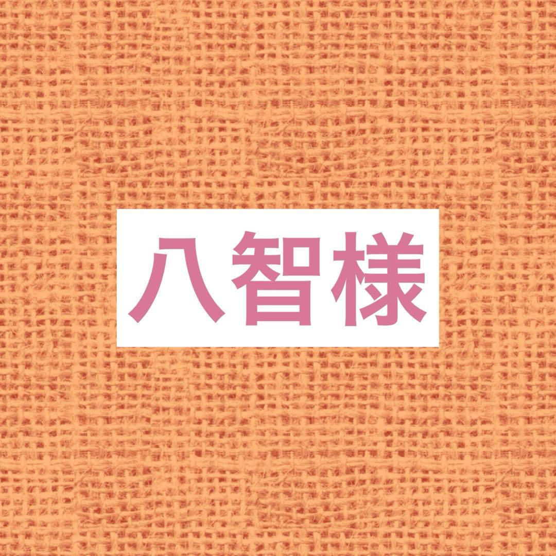 八智 リクエスト 9点 まとめ商品 パック ｜ Z/X - Zillions of enemy X - ゼクス公式サイト