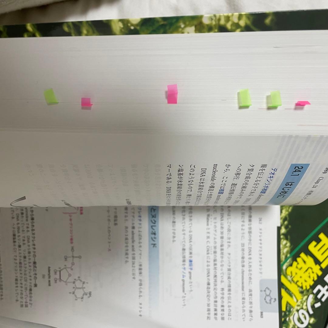 《大値下げ》薬学部　教科書まとめ　送料込み