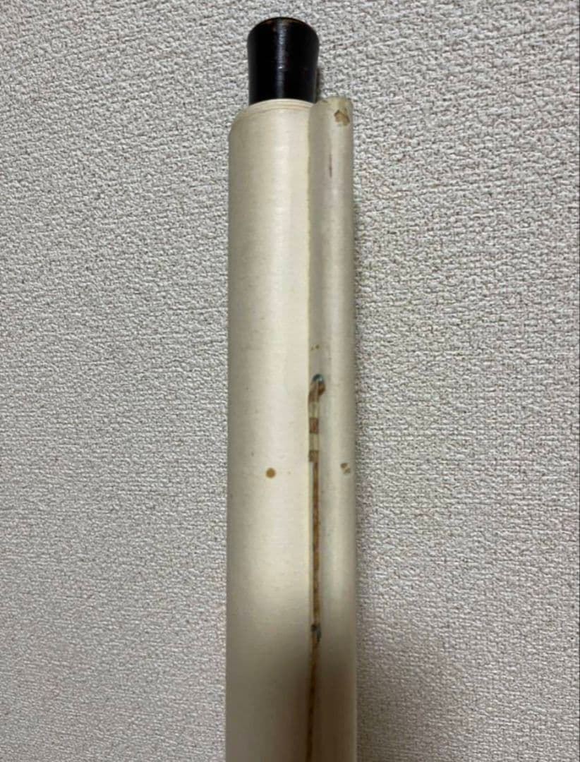 真作】陳康候 花鳥絵 中国書画 紙本肉筆 - メルカリ