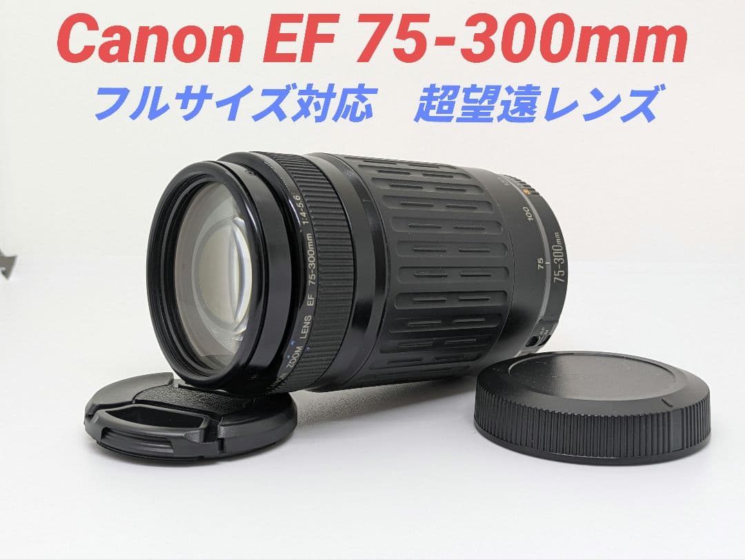 KTM0526①OP付き【超望遠レンズ】Canon EF 75-300mm 楽天市場】【1年保証】キヤノン Canon EF75-300mm F4-5.6 III EF 望遠