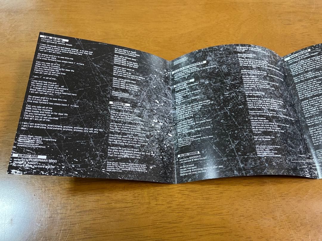 Lost And Found SHADOW THE HEDGEHOG VOCAL