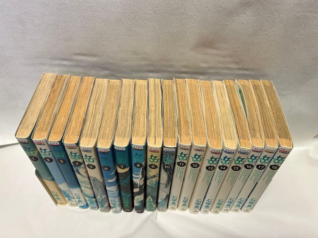 岳 18巻 全巻セット レンタル落ち - メルカリ