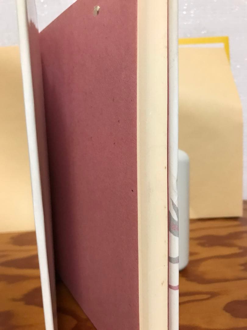 蛇神伝承論序説 清姫の原像を求めて 阿部真司 初版第一刷 使用感無し美