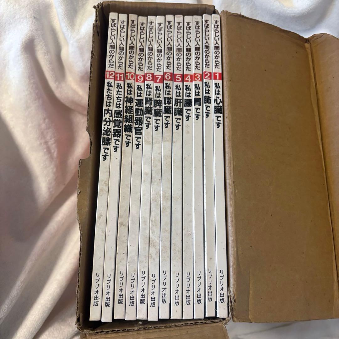 すばらしい人間のからだ 全12巻 すばらしい人間のからだ 全12巻揃(絵 アレッサンドロ・パチーニ 文