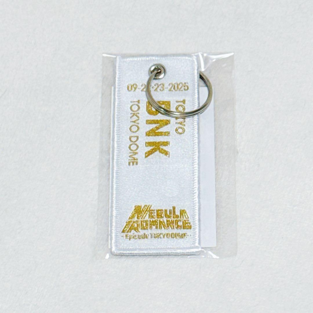 Perfume ネビュラロマンス 東京ドーム フライトタグ BNK - メルカリ