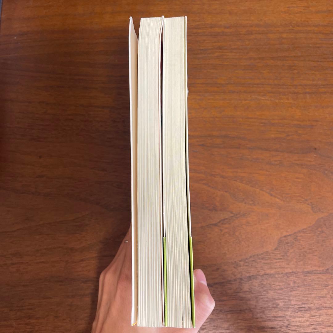 絶版！初期のアイビーボーイ図鑑ギャル復刻版2冊セット！新品大変貴重です。