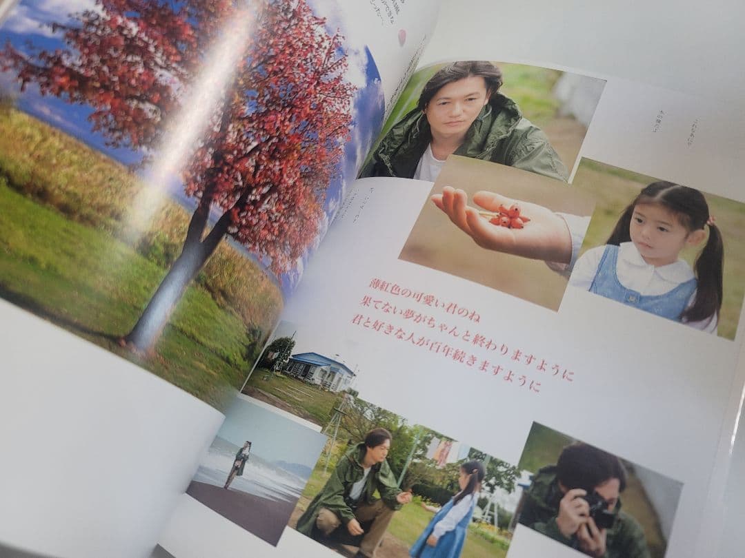 君と好きな人が百年続きますように/ハナミズキDVD2枚組フォトブック＋映画パンフ