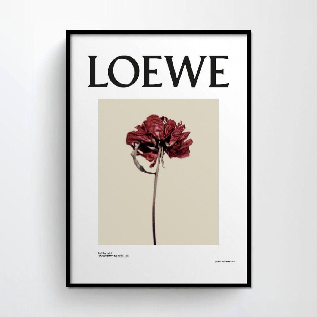 B2】LOEWE ロエベ ポスター アートポスター④【他サイズもOK】 - メルカリ