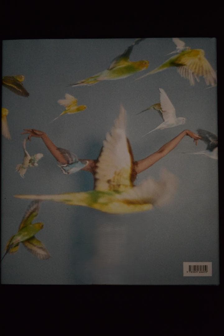 Ryan McGinley: Whistle for the Wind ☆値下げ - メルカリ