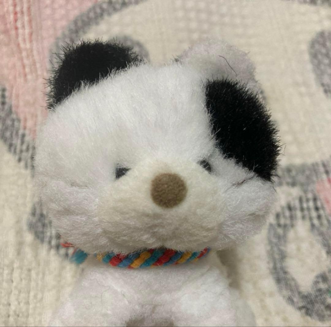 joyful mates TAKENOKO 猫 ぬいぐるみ4こ 中古 バラ売不可 - メルカリ