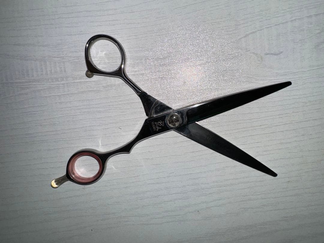 光 ヒカリ HIKARI シザー E-6 カットシザー 美容師 セルフカット