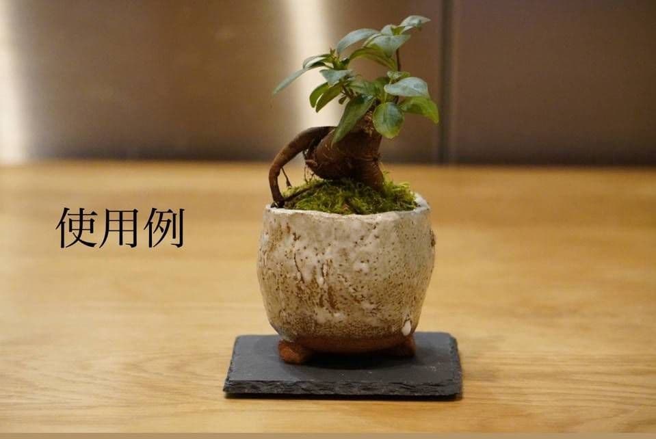 《専用》受け皿32枚　苔玉　盆栽用　石皿