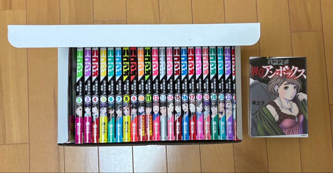 ハコヅメ全23巻専用ボックス＋別章アンボックス ハコヅメ~交番女子の逆襲~ 別章 アンボックス (モーニングKC) | 泰 三