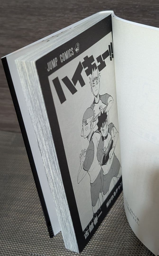 49冊】ハイキュー!! 1〜45巻 TVアニメチームブック/セイシュンメイカン