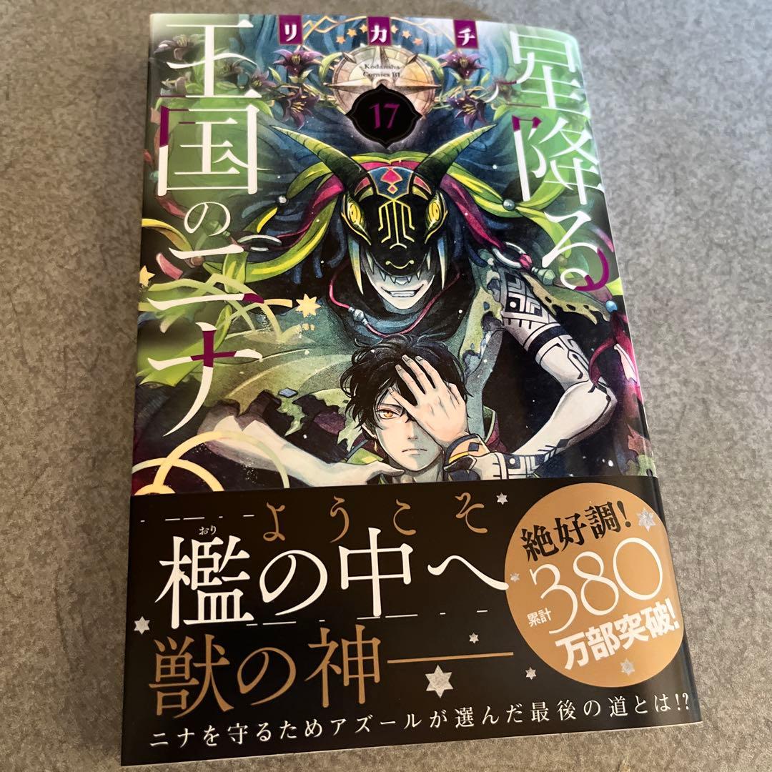 ☆ 星降る王国のニナ17巻(*^^*) - メルカリ