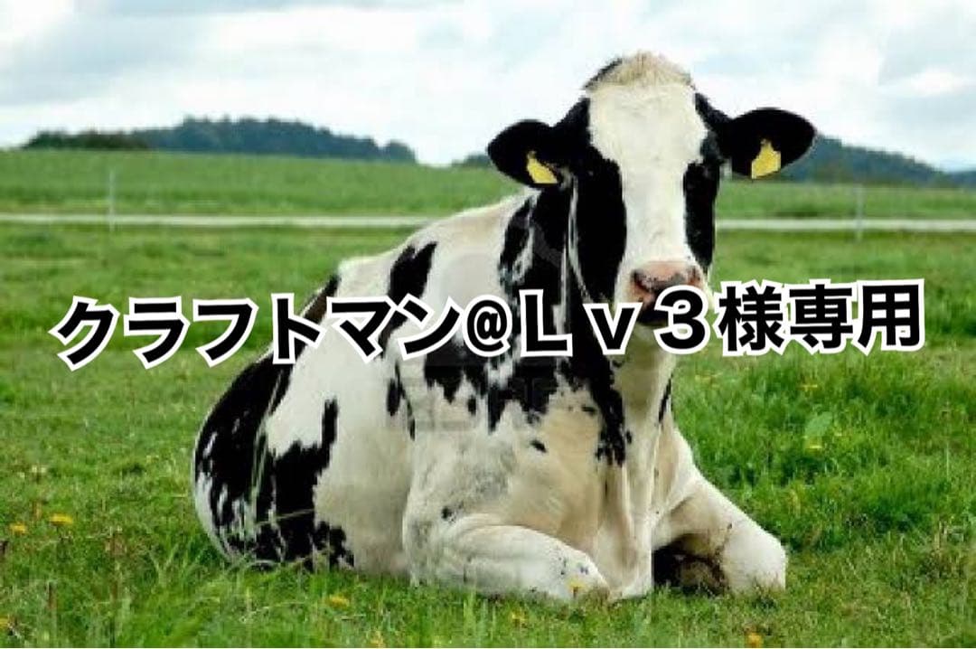 タン薄30、黒30 実物大型紙【No.13】ふんわりシルエットのワンピース(SML・2L) [M便 1