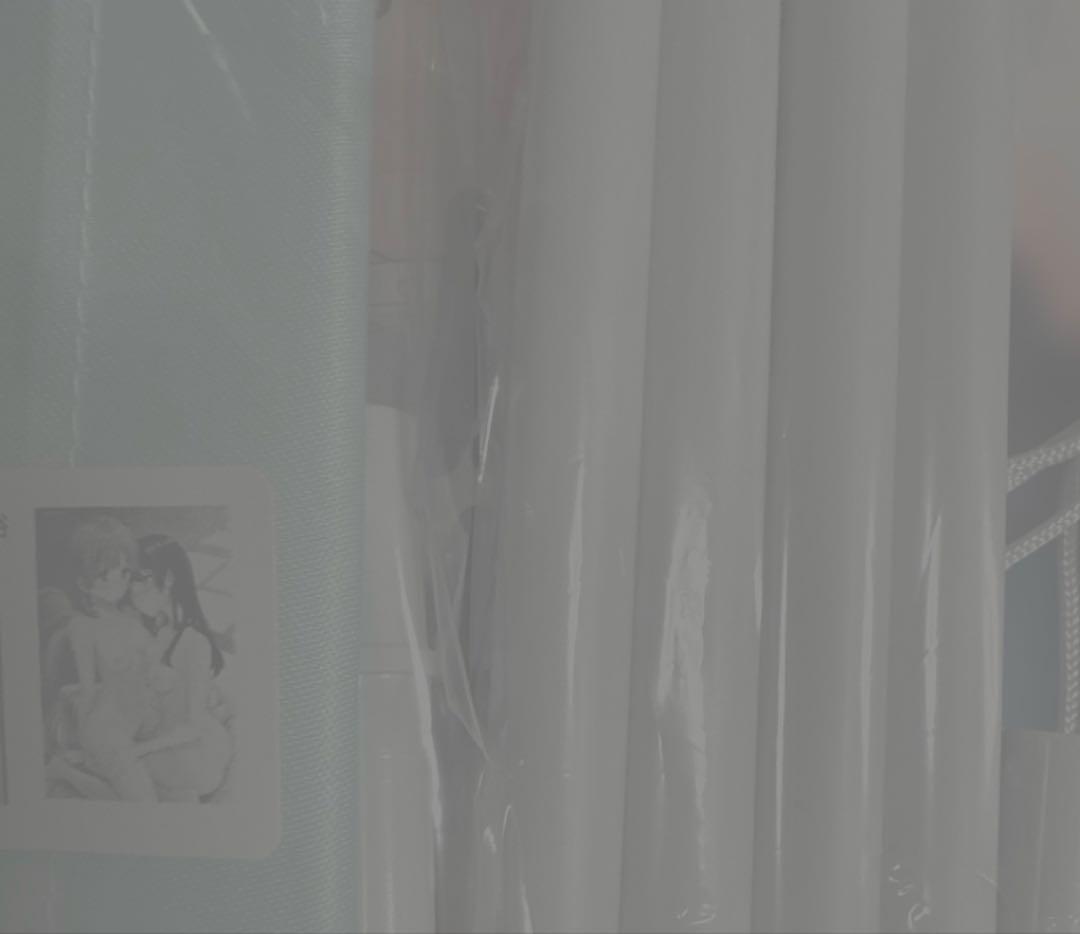 彩純ちゃんはレズ風俗に興味があります タペストリー