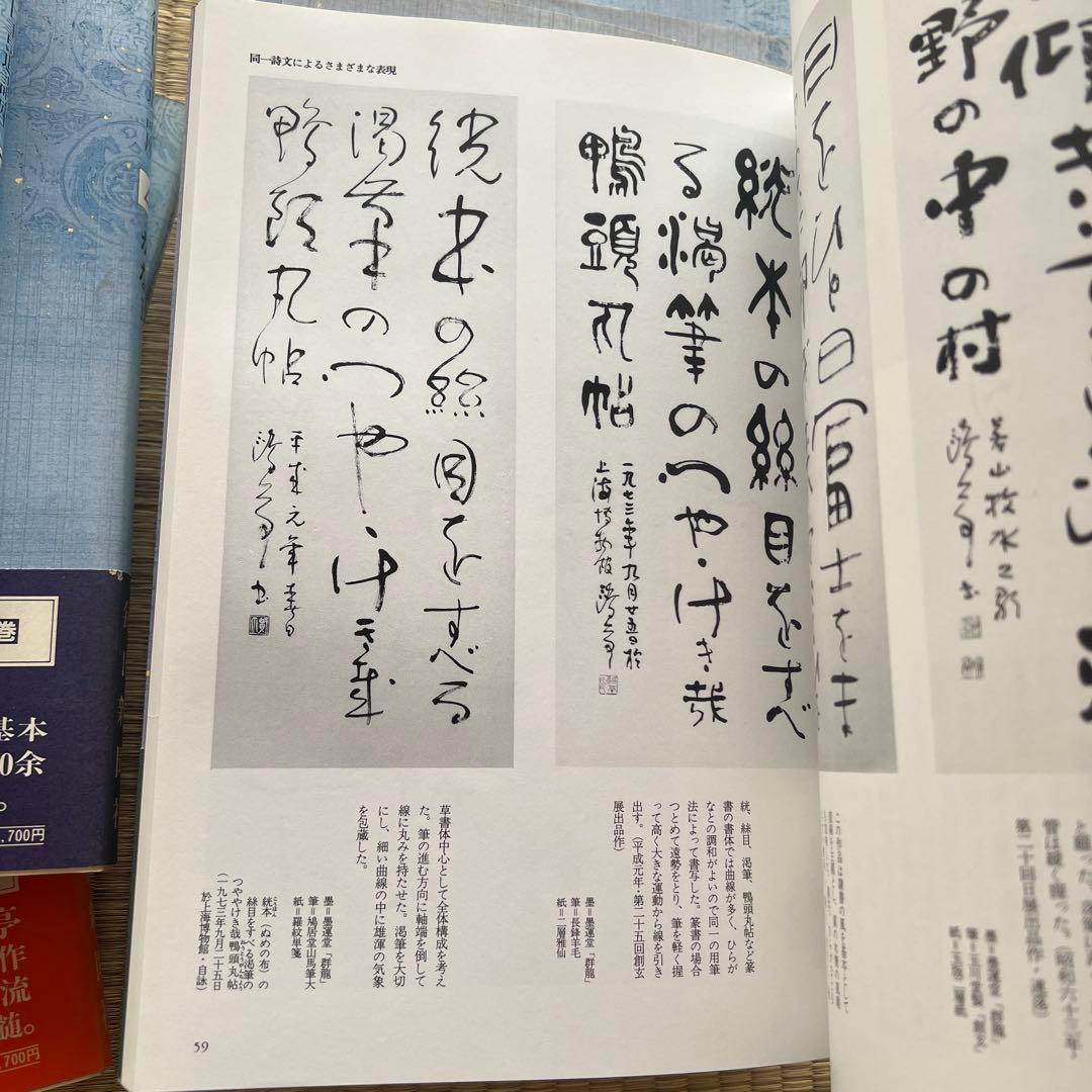 毎日書道講座 全12巻 毎日新聞社 楷書・行書・篆書・隷書・かな - メルカリ