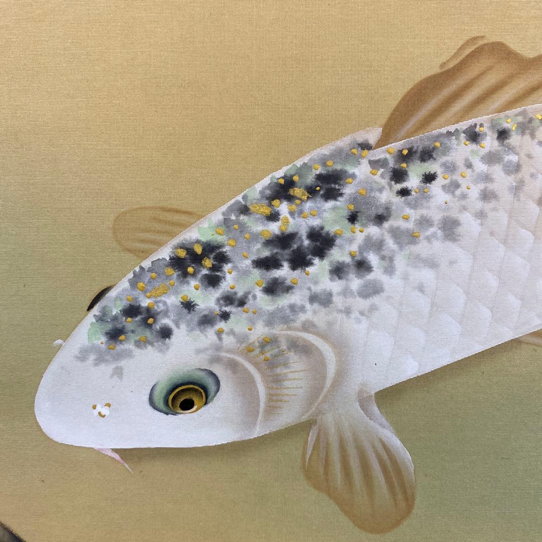 美品 掛け軸 天野望作 彩鯉図 共箱 縁起物 遊鯉 年中掛け - メルカリ