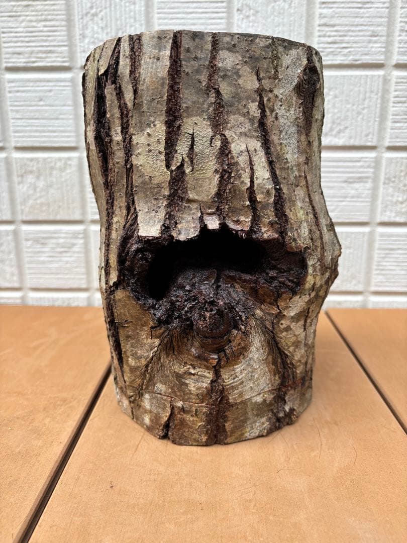 クワガタ隠れ家、クワリウム、クワガタ登り木、昆虫ゼリー台、樹洞