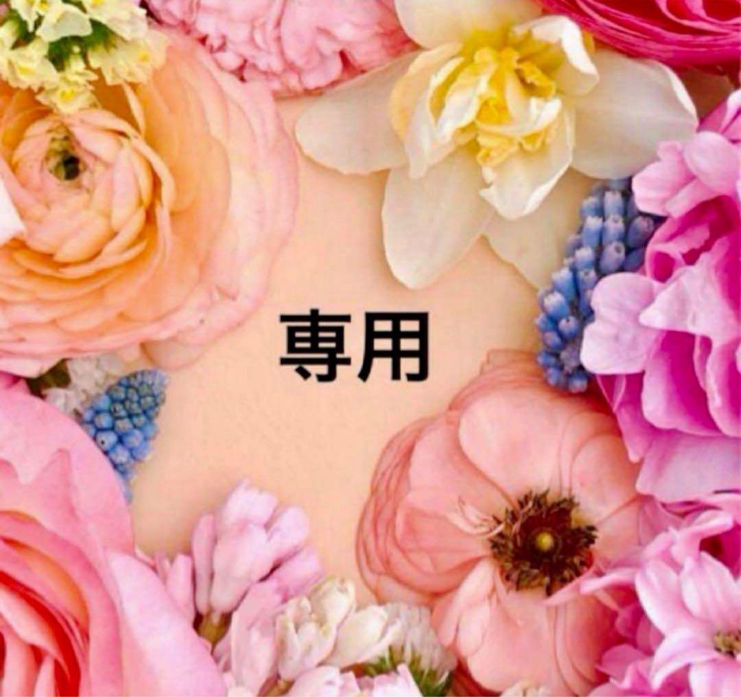 黒妖の花嫁2 おまとめ専用① 黒妖の花嫁～忌み嫌われた私が冷酷大尉に愛されるまで～2 (comic