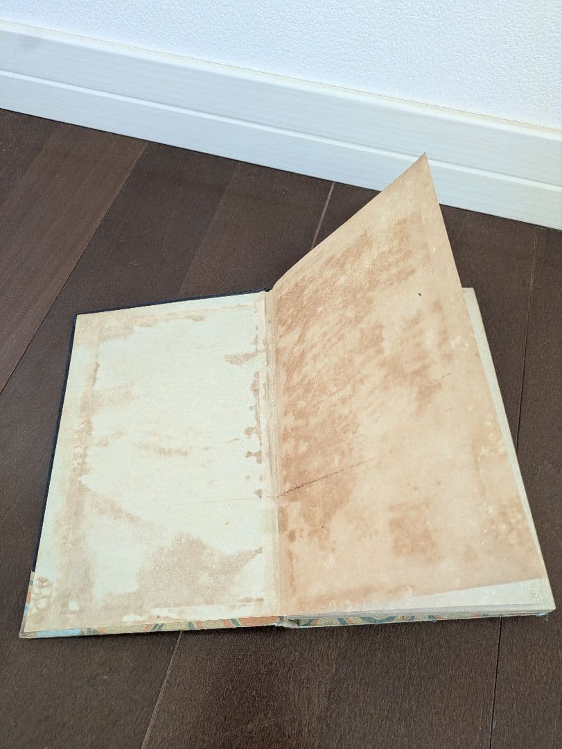 希少本】初版 紅あざみ 大正3年 日比谷書院 東京堂 尾島菊子