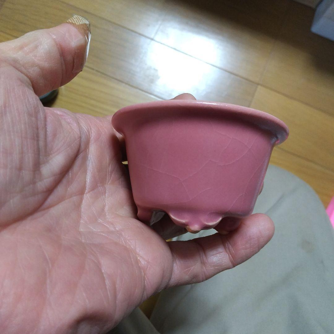 ミニ鉢、盆栽鉢、盆栽小鉢、鉢、植木鉢、山野草鉢、蘭鉢、盆栽 楽天市場】盆栽鉢 「紀伊染付山水図楕円鉢」 植木鉢 絵付鉢 作家鉢