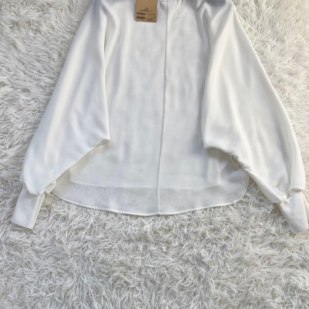 ◎ハッチマル◎専用 タグ付 ビアズリー ニットコンビドルマンブラウス