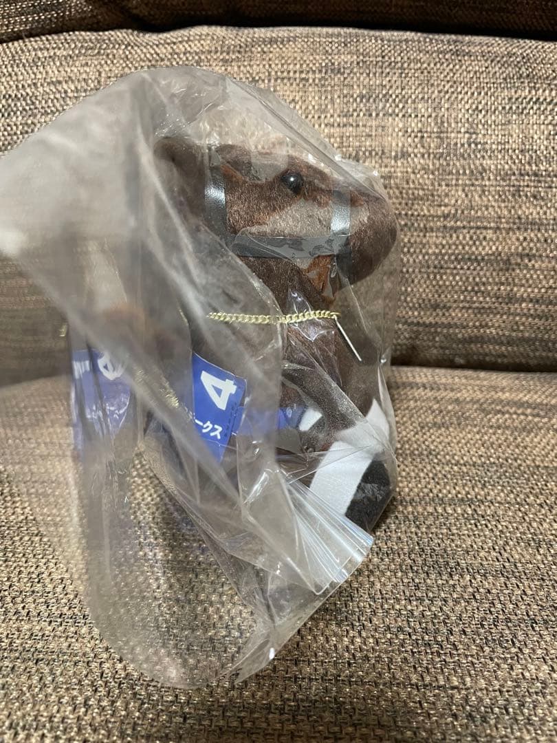 アイドルホース　ピクシーナイト