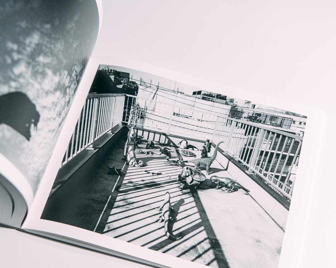 荒木経惟 写狂老人A 76齢（Signed）Nobuyoshi Araki - メルカリ