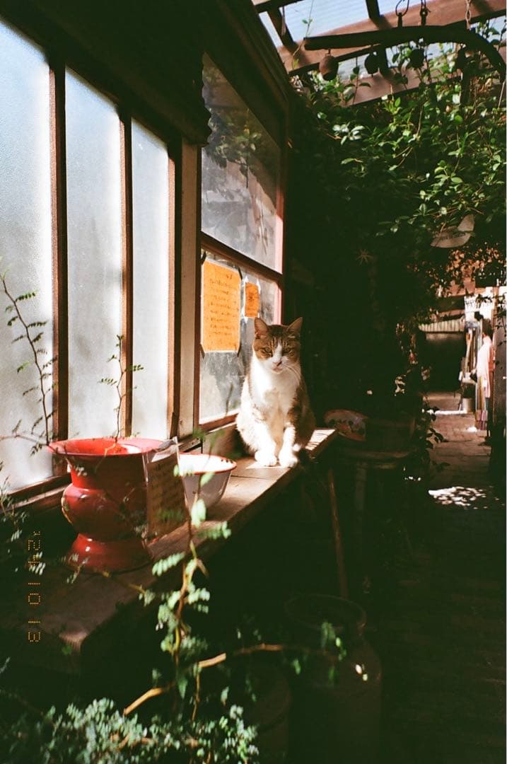 Natura classica【マーズ様専用】の通販はau PAY マーケット - 輸入