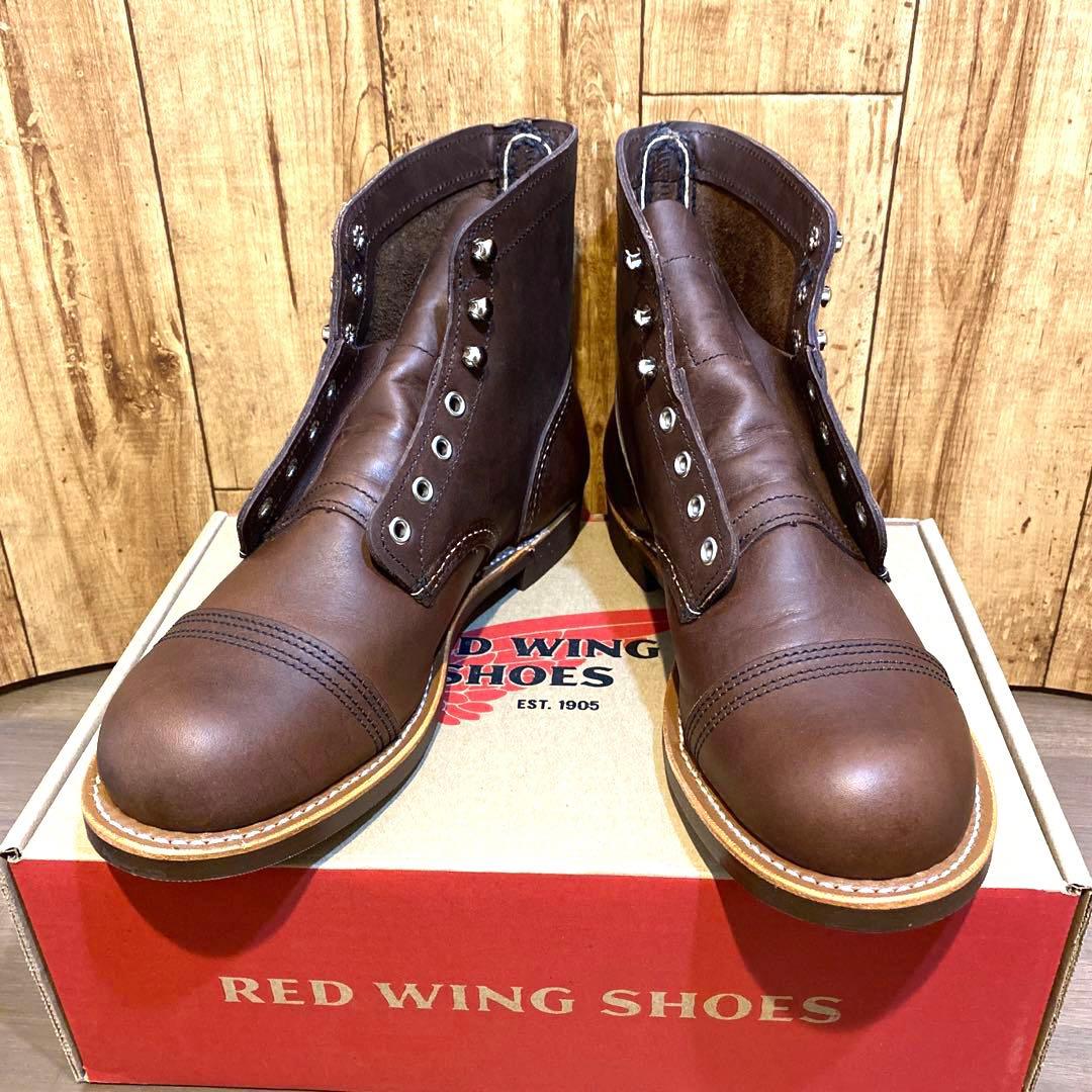 サボテン科大事典: 266属とその種の解説 伊藤 芳夫 未来社 新品 絶版