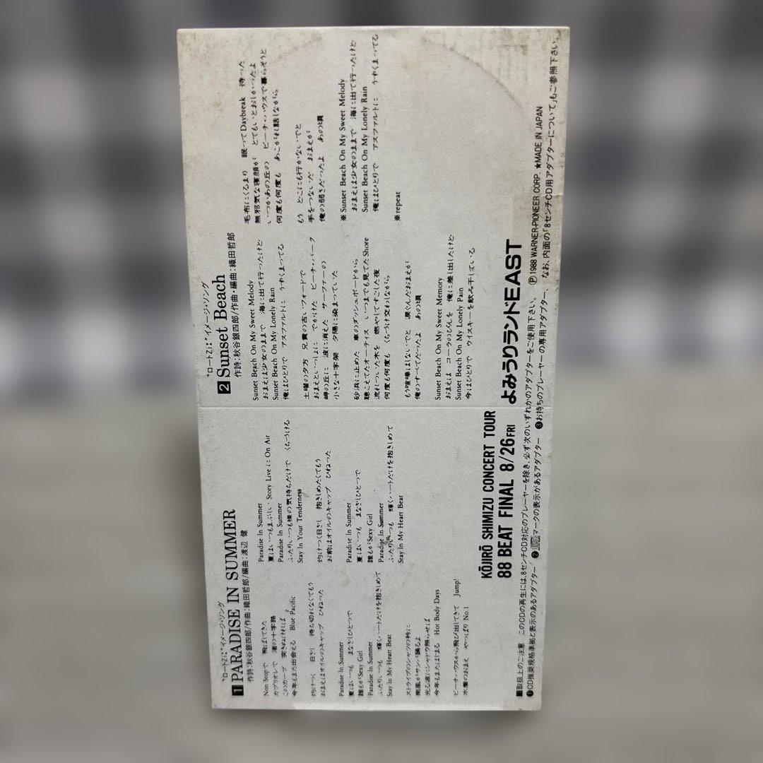 KŌJIRO SHIMIZU PARADISE IN SUMMER