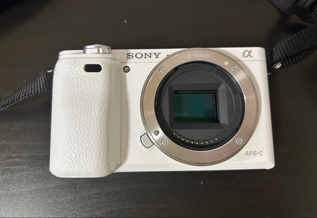 SONY ILCE-6000 ミラーレス一眼 レンズ 収納ケース付き