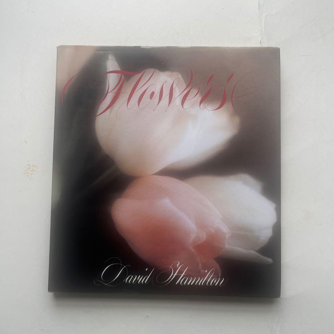 s*y様 希少、　デビットハミルトン写真集4冊組